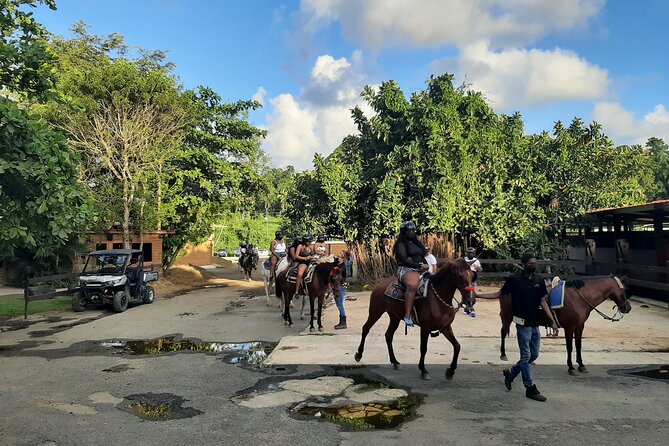 Transfer from San Juan to Ceiba Ferry or Ceiba to San Juan - Ceiba, Fajardo, Naguabo, and Humacao drop-offs