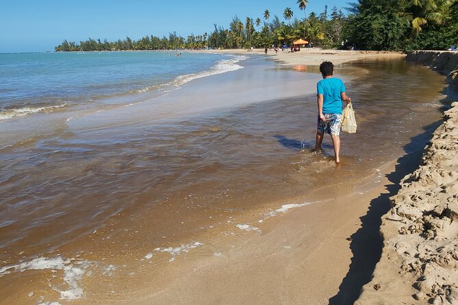 Transportation from San Juan to Ceiba ferry or airport - Choosing the right destination