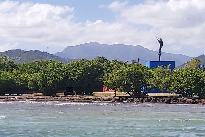 Transportation from San Juan to Ceiba ferry or airport - The return trip from Ceiba