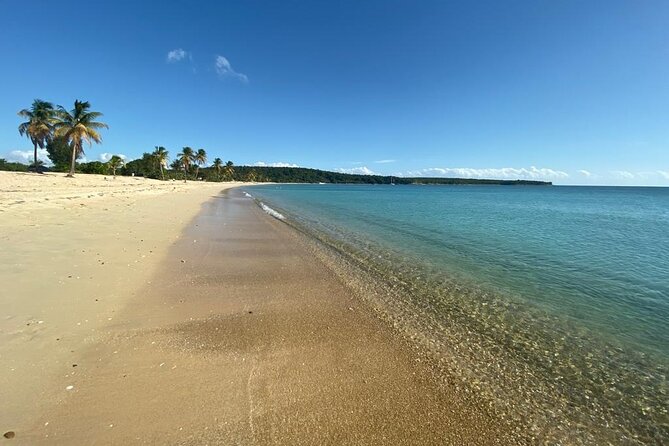 Vieques Bio Bay Tour and Beach Day Trip from San Juan by Ferry - The clear-bottom kayak through Mosquito Bay