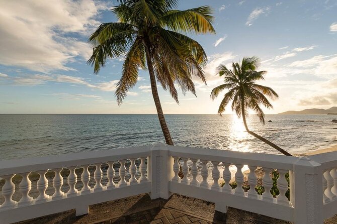Vieques Bio Bay Tour and Beach Day Trip from San Juan by Ferry - Is $230 a fair price?
