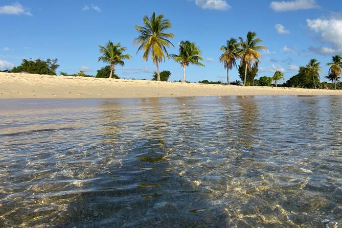 Vieques Bio Bay Tour and Beach Day Trip from San Juan by Ferry - The 12:10 PM pickup begins a long travel day