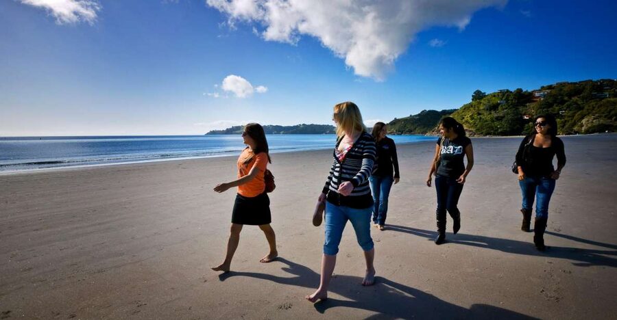 Waiheke Island: Ferry & Hop-On Hop-Off Explorer Bus Tickets - Oneroa Village, shops, and local food