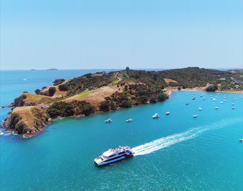 Waiheke Island: Ferry & Hop-On Hop-Off Explorer Bus Tickets - What the guides add to a mostly independent day