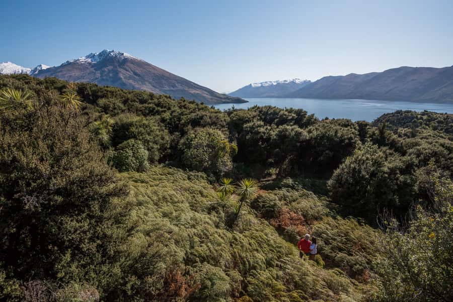 Wanaka Water Taxi Mou Waho Island Tour - Key points to know before booking