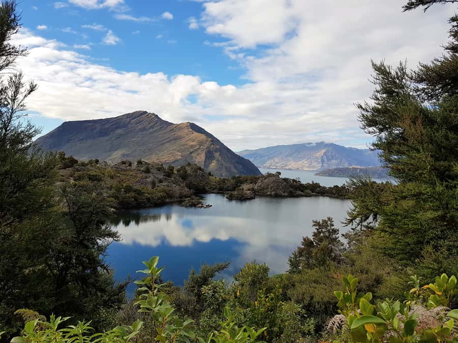 Wanaka: Water Taxi & Mou Waho Island Tour - Practical details that make the day easier