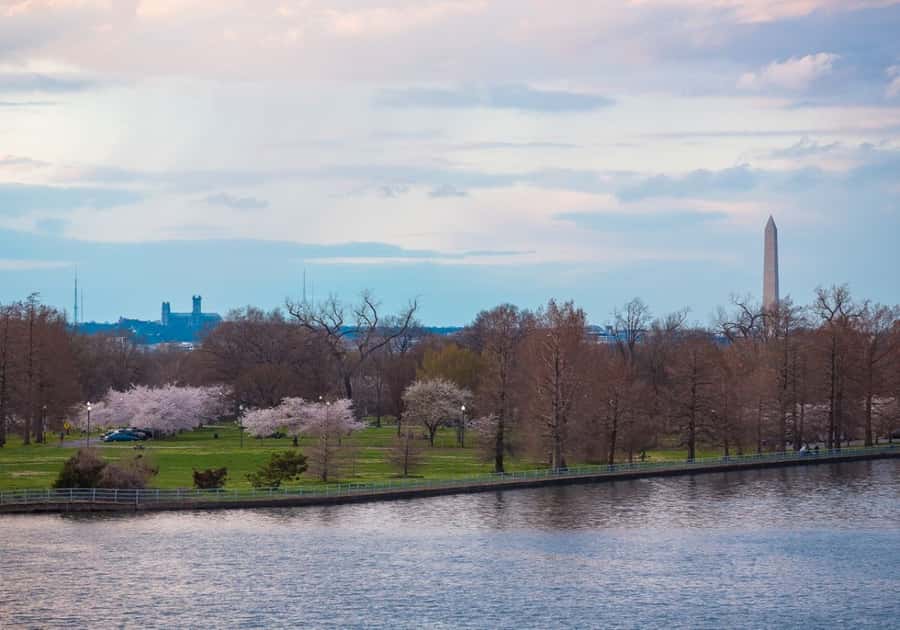 Washington DC: 1 or 2-Day Unlimited Water Taxi Pass - Is $36 a fair price?