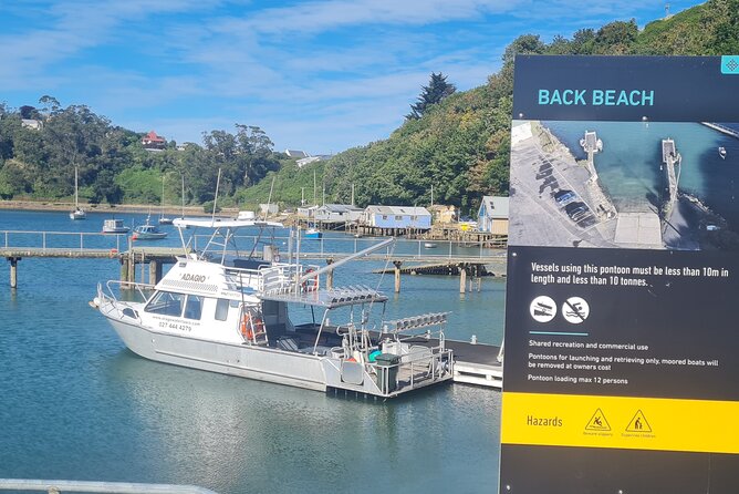 Water Taxi and Shuttle to Larnach Castle - Why the water taxi makes this shore trip different