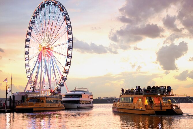 Water Taxi from Wharf or Old Town Alexandria - The biggest question: sightseeing cruise or water taxi?