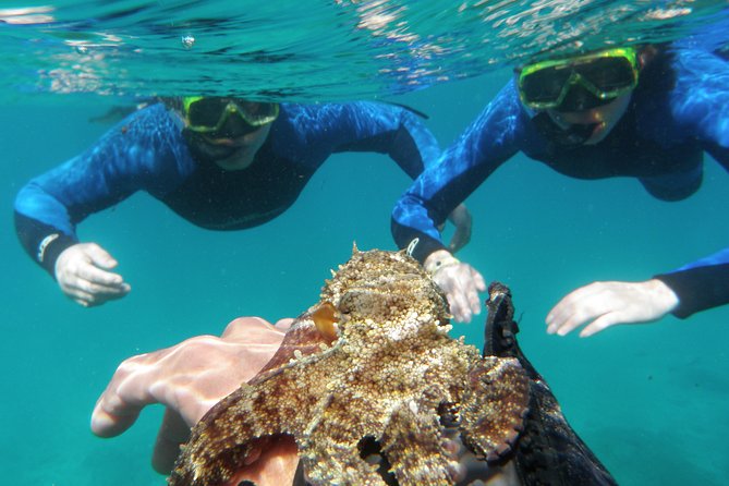 Water Taxi Lobos Island - Booking and cancellation details