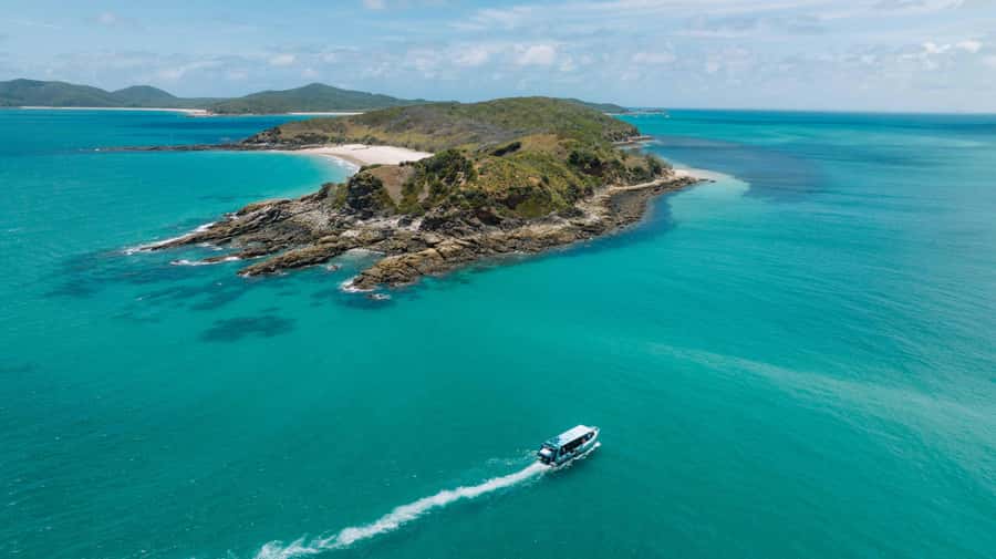 Yeppoon: Great Keppel Island Fast Boat Snorkel & Lunch Tour - Key points at a glance