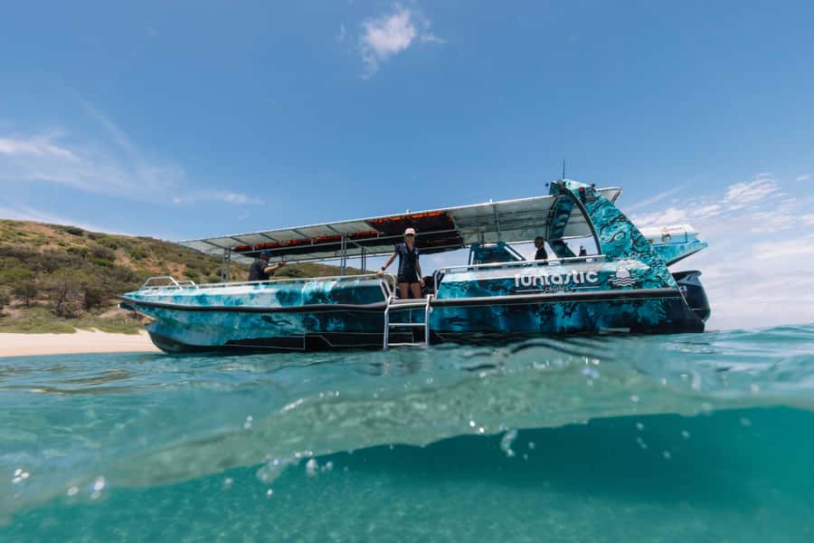 Yeppoon: Great Keppel Island Fast Boat Snorkel & Lunch Tour - Snorkeling with fish around the reefs